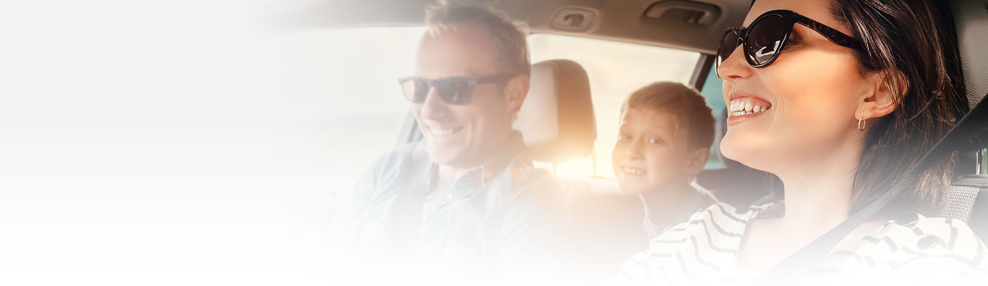 Mr. Transmission Brands